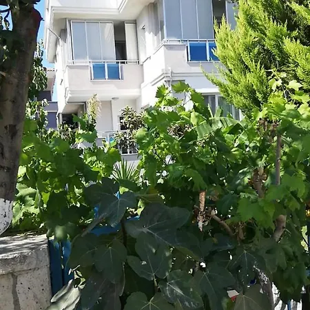 Luna Alacati